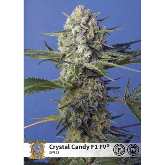 Crystal Candy 3 Semillas...