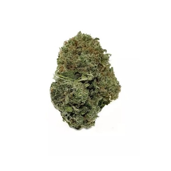 SWEET MELON 3GR