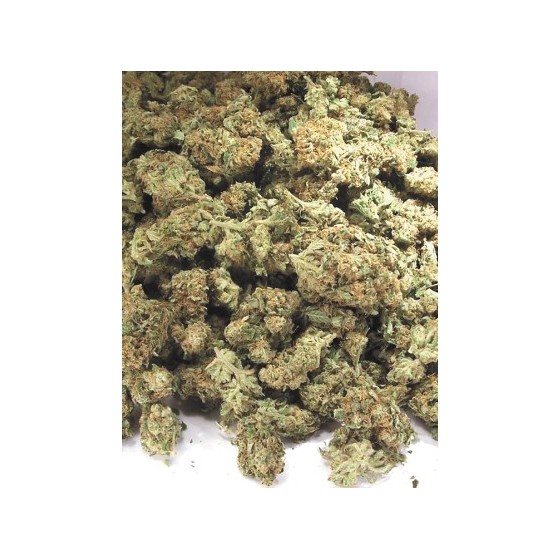 MANGO HAZE SMALL BUDS 25 GR