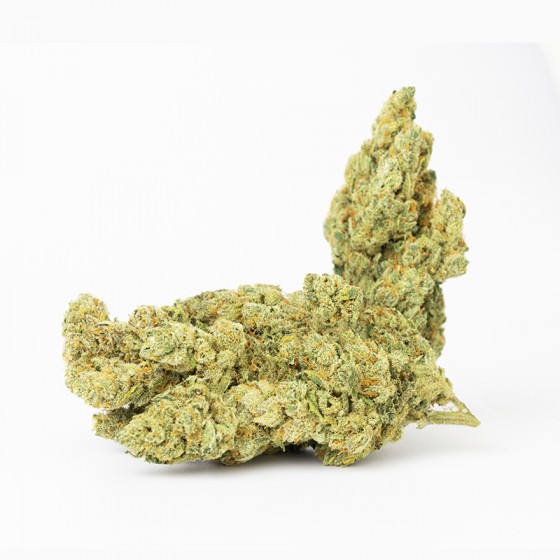 AMNESIA MASS 3GR
