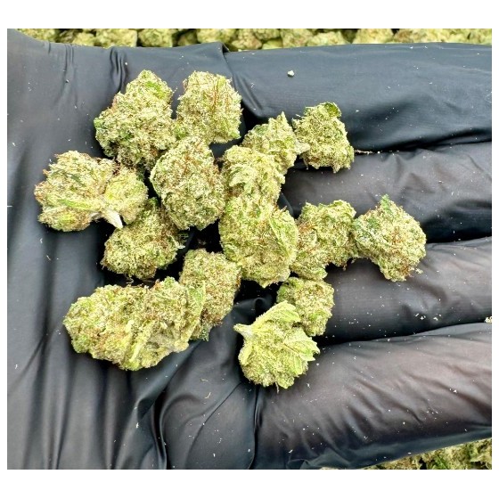 SKUNK PREMIUM SMALL BUDS 25GR