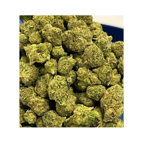 MANGO HYDRO PREMIUM SMALL...