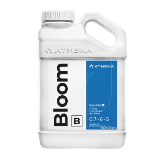 BLOOM B 3,78 L (ATHENA)