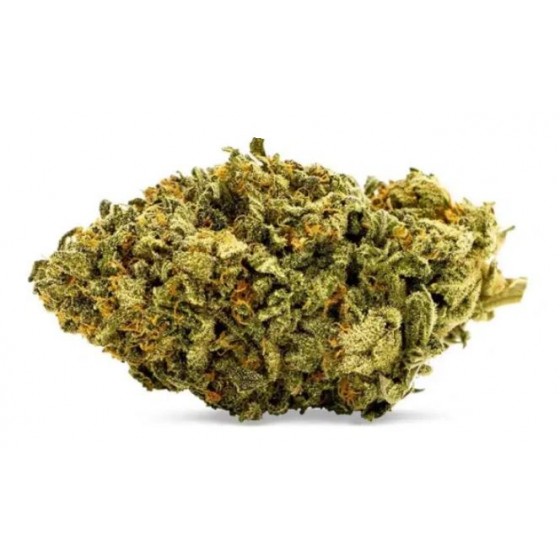 KRITIKAL 3GR (CBD FARM)