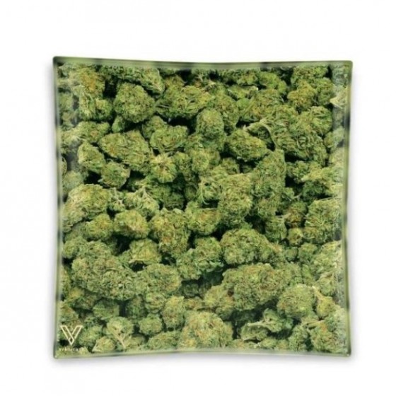 CENICERO CRISTAL CUADRADO BUDS 11x11cm (V SYNDICATE)