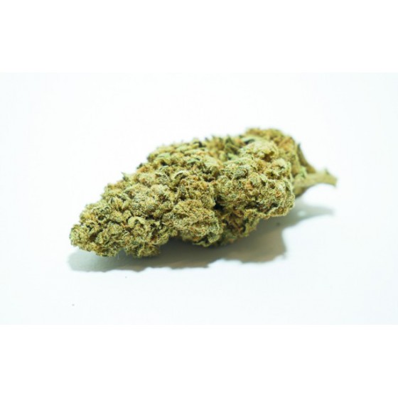 SUPER LEMON HAZE 3GR