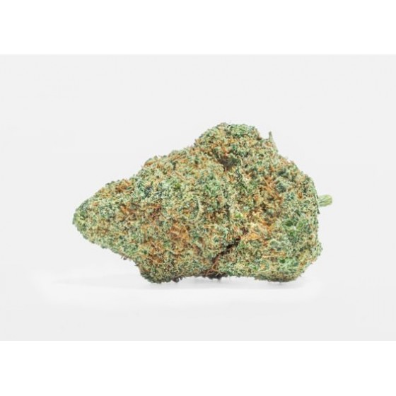 CHEESE 10GR