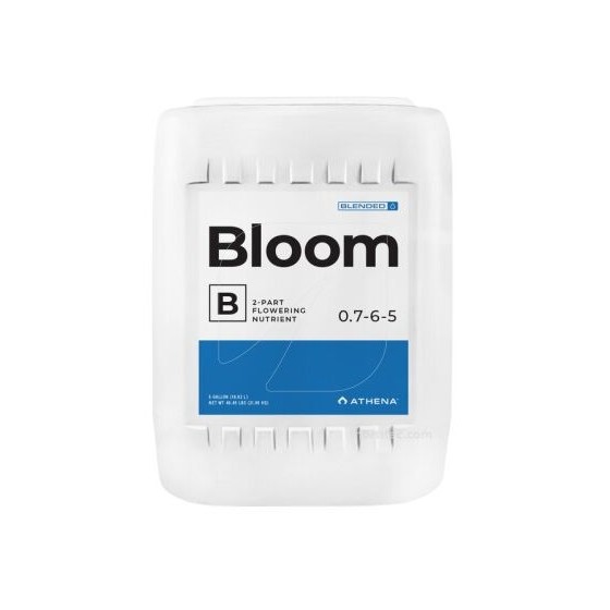 BLOOM B 18,92 L (ATHENA)