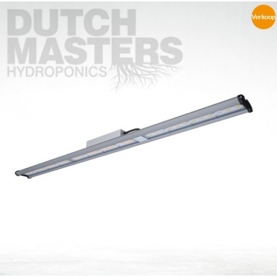 LED DAYSTAR 100W (PLATINUM...