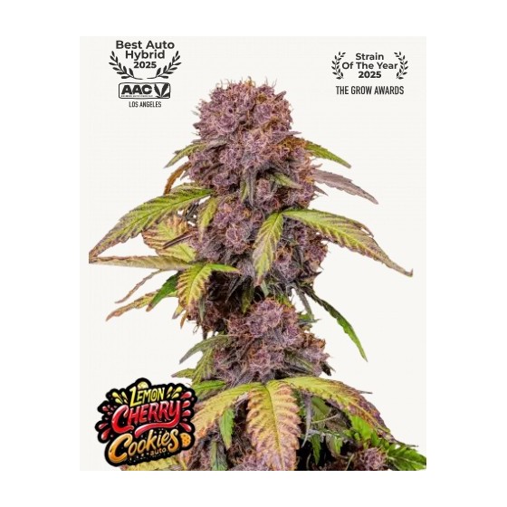 LEMON CHERRY COOKIES, 1...