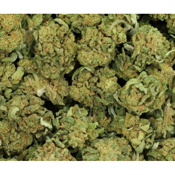 KRITIKAL SMALL BUDS 5GR